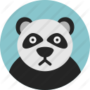 panda updates